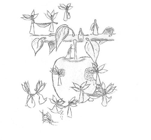 Apple faeries