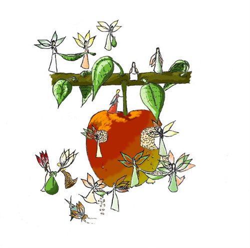 Apple faeries