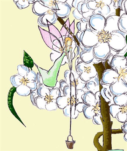 Cherry faeries