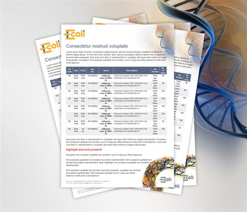 Marekting sheet design for Ecoli, s.r.o.