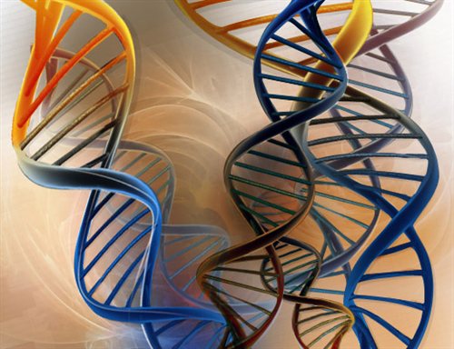 DNA spirals for Ecoli, s.r.o.