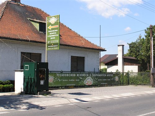 Fleuriada banners