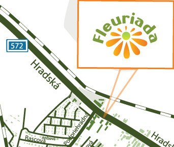 Fleuriada Map Detail