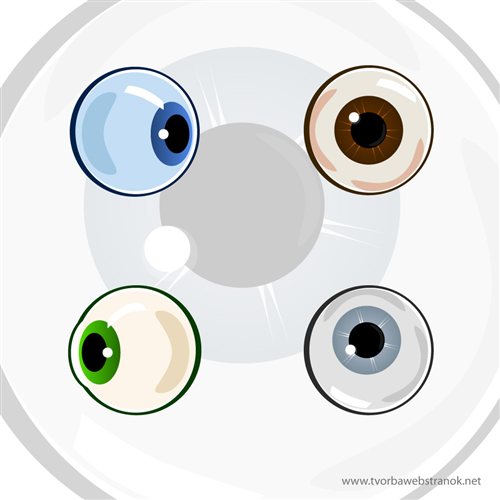 Eyes - vector illustration