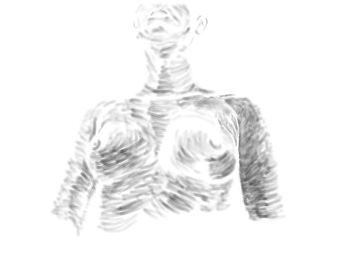 Torso