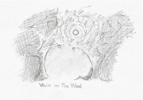Vain in the Wood