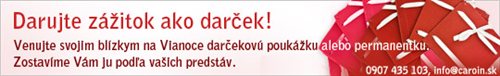 ČaroIN Christmas banner