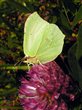 p9010099