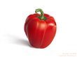 Red Pepper