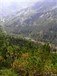 Ťatliakovo pleso